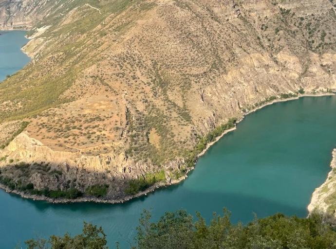 «Живём мы сердце к сердцу»